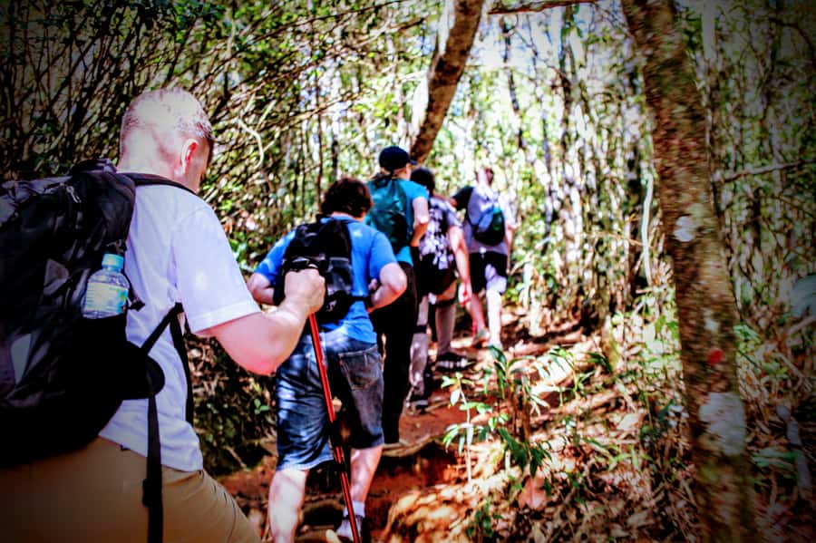 Rio: Tijuca Forest Small Group Hike to Caves and Waterfalls - Morcego’s Grotto, Known as the Bat Cave