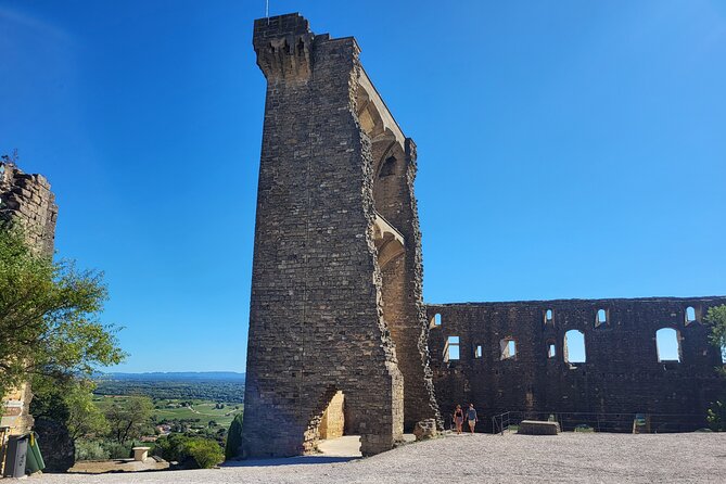 Roman Heritage & Wine Legacy - Why this Avignon tour works