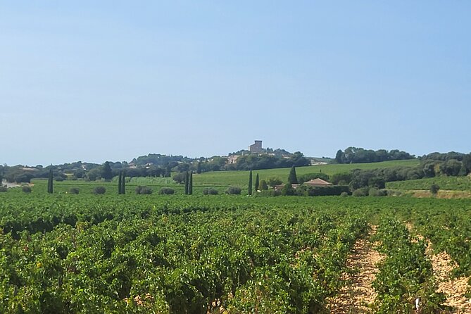 Roman Heritage & Wine Legacy - The value of $113.84 per person