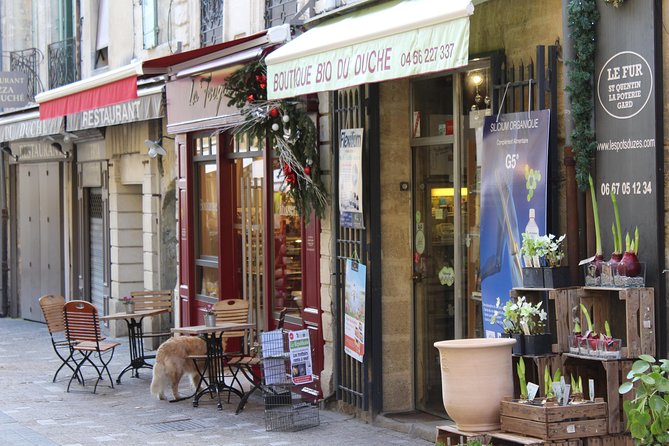 Roman Sites and Historical Places Day Trip from Avignon - What the small minivan is really like