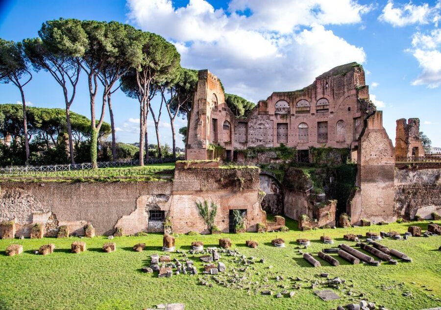 Rome: Colosseum Arena Access and Ancient Rome Guided Tour - Palatine Hill brings the climb, then the views