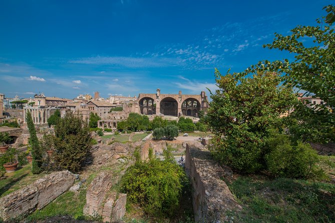 Rome: Colosseum Arena, Roman Forum & Palatine Hill Tour - Physical demands and what to bring