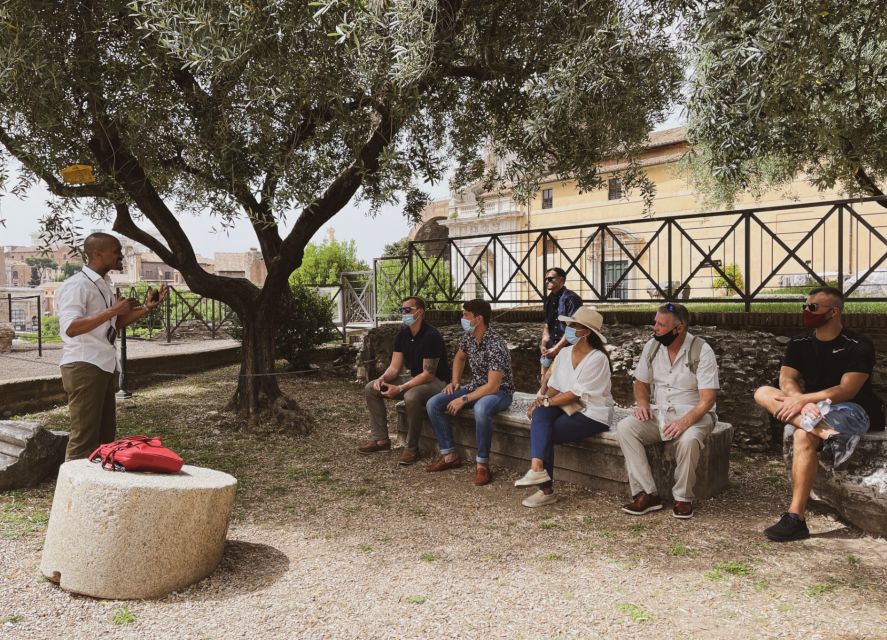 Rome: Colosseum, Roman Forum & Palatine Hill Guided Tour - Who should book this tour?