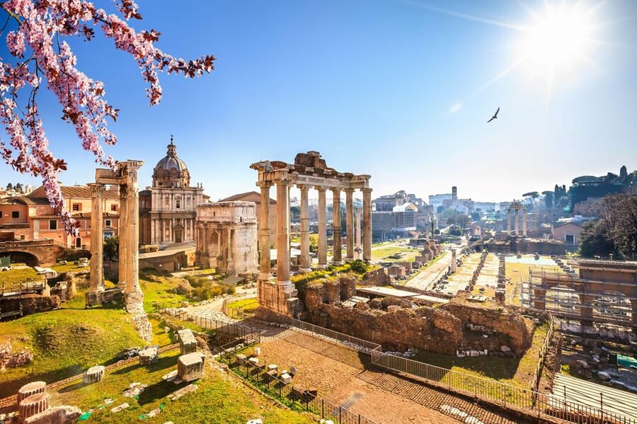 Rome: Guided Tour of Colosseum and Ancient Rome - The guides make the biggest difference