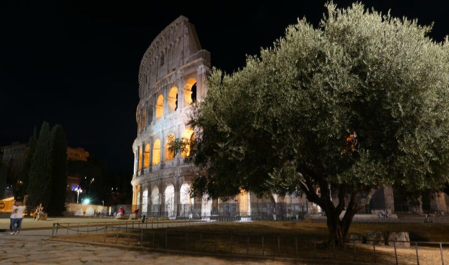 Rome: Wonders of Ancient Rome at Dusk - Meeting outside the Colosseum metro station