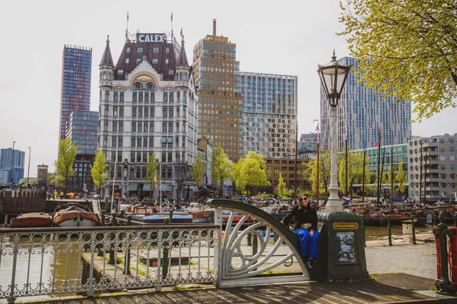 Rotterdam: Highlights, Gems, Architecture & History Walk - Starting near the Museum Quarter and Depot Boijmans