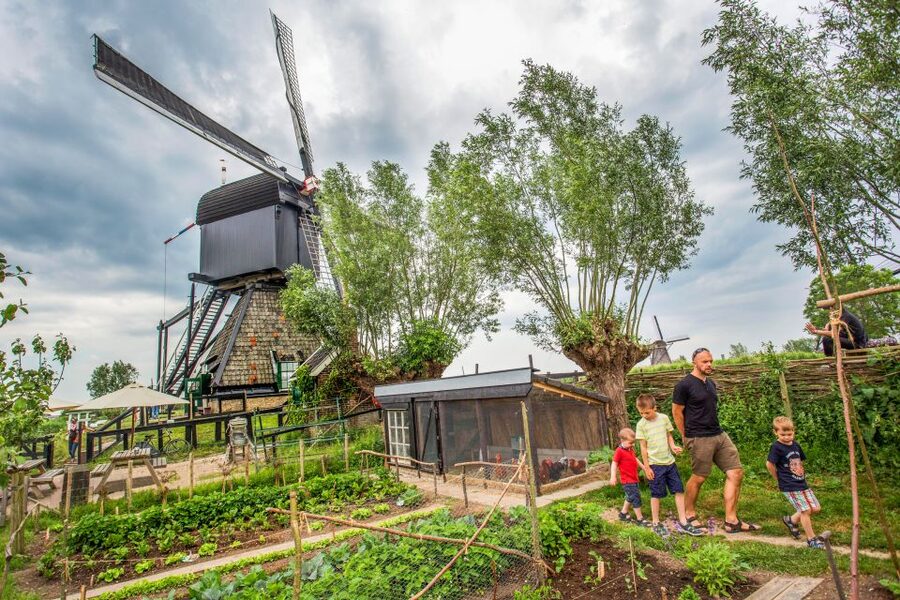 Rotterdam: Kinderdijk UNESCO World Heritage Entry Ticket - Why Kinderdijk is worth your day