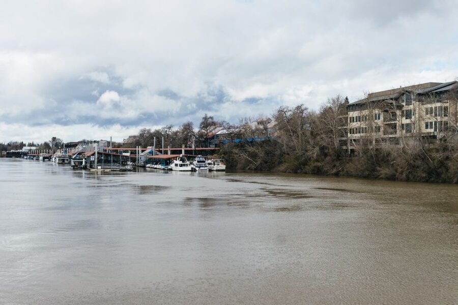 Sacramento: City Cruises River Cruise with History Guide - River wildlife and shoreline views