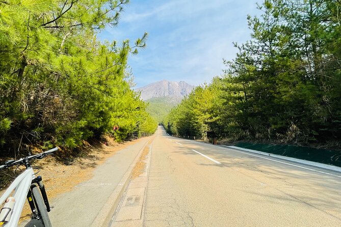 Sakurajima Century Lava Climb Journey with E-bike - Is the $105.02 price fair?