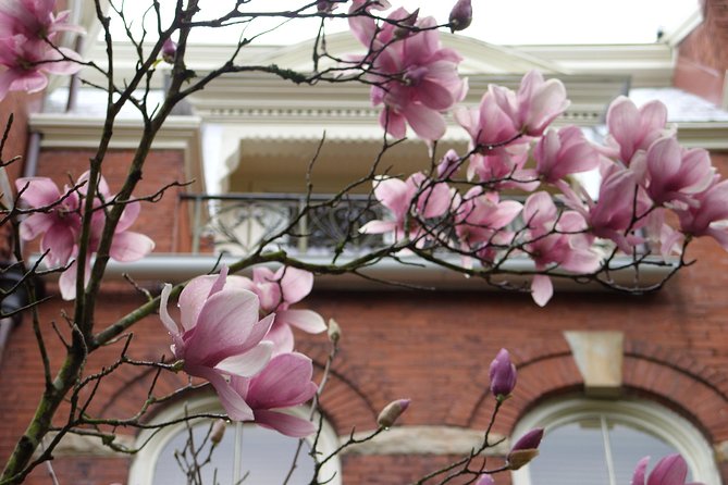 Savannah Historic District Walking Tour - Johnson Square brings war heroes and economic change