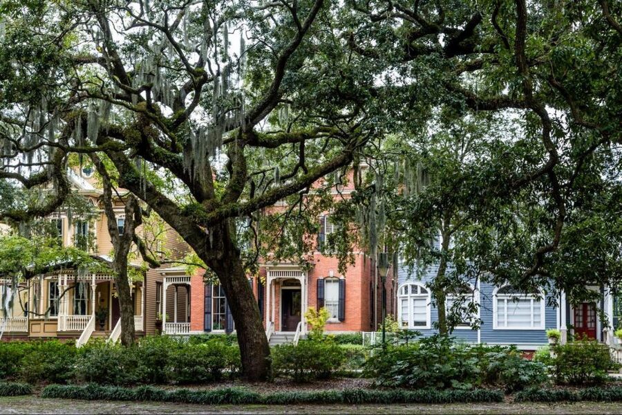 Savannah: Historical Panoramic City Tour - Churches, oak trees, and historic architecture
