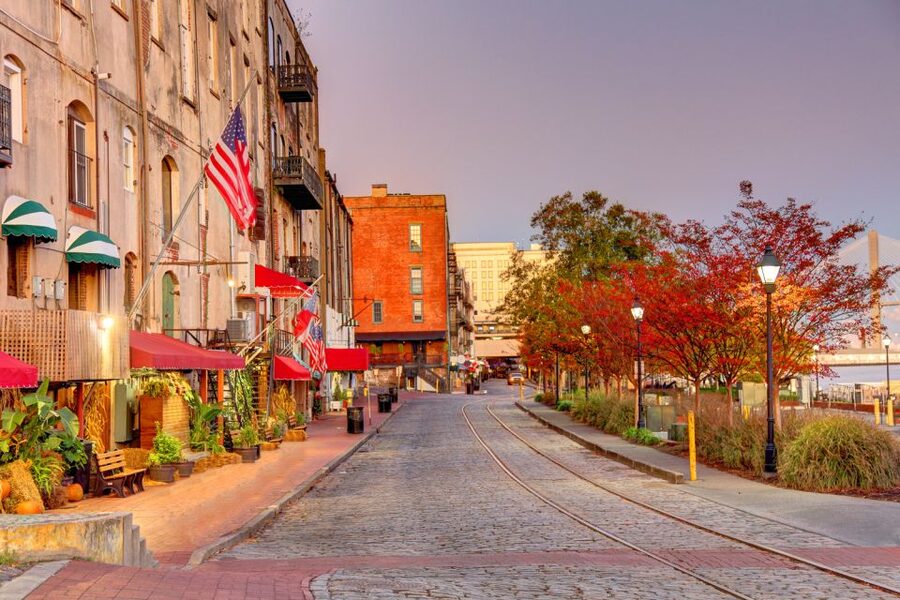 Savannah: History and Culture Walking Tour - Who will get the most from the $20 price