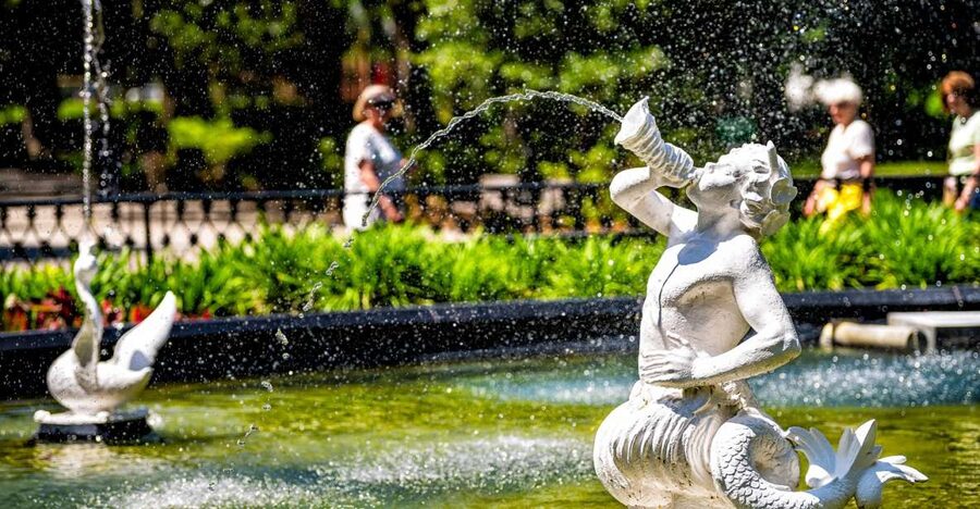 Savannah: History and Culture Walking Tour - Starting at Warren Square in Savannah’s historic district