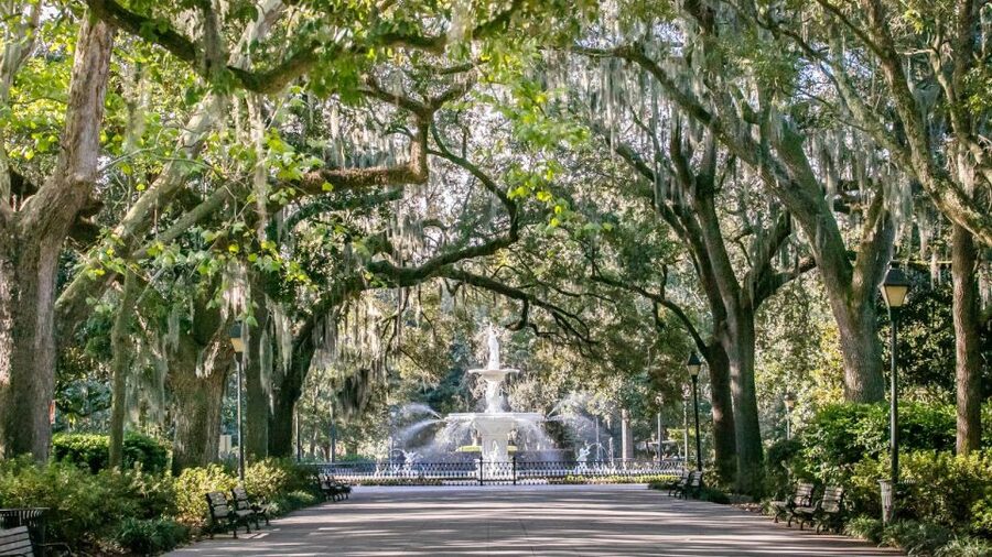 Savannah: History, Culture, & Scenic Views E-Bike Tour - Rolling through Savannah’s historic district