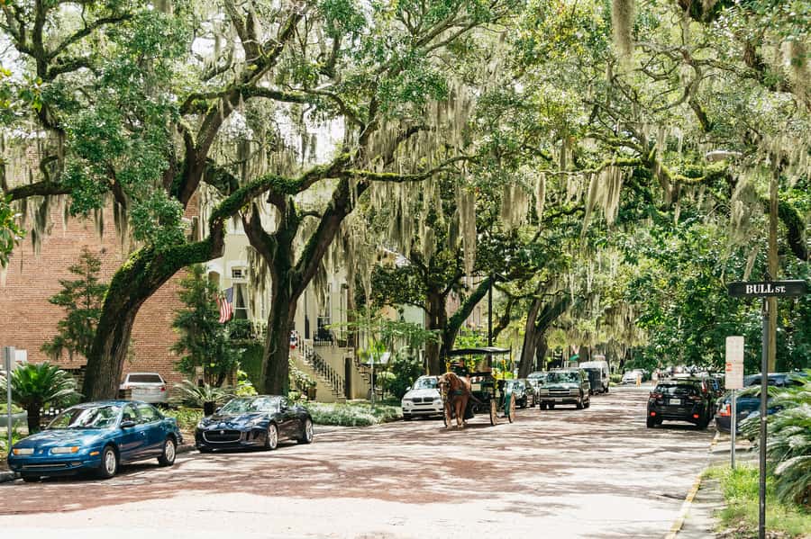 Savannah: Old Savannah Tours Historic Overview - Non-stop touring versus hop-on options