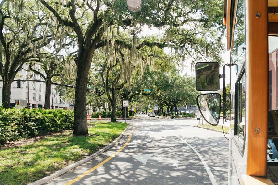 Savannah: Old Savannah Tours Historic Overview - Who should book this tour