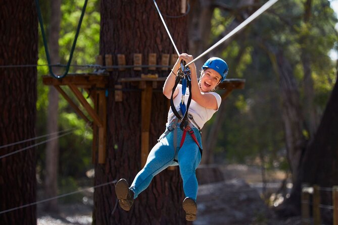 Self-Guided Ngilgi Cave Ancient Lands Experience - Is $22.95 good value?