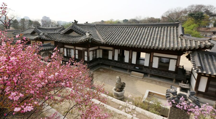 Seoul: UNESCO Heritage Palace, Shrine, and More Tour - Changdeokgung Palace and the royal gardens