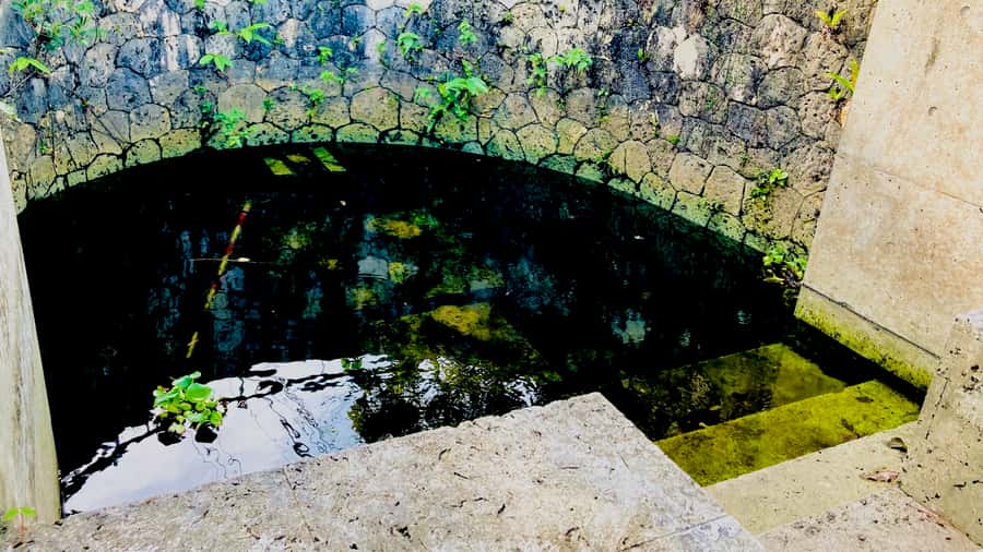 Shuri+Naha: Cycling Tour Explore Water Heritage with E-Bike - Shuri Castle, sacred places, and old stone streets