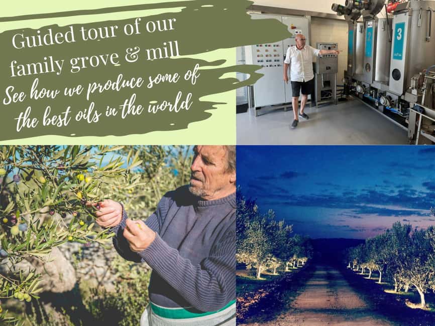 Šibenik: Croatia in a Day, Vistas, History, Olive Oil, Wine - Uljara Lepur, where olive oil becomes the main event