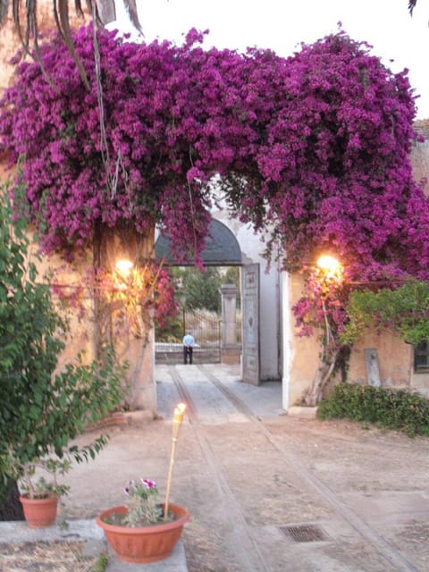 Sicilian cooking class in the historic baglio Florio Adamo - The essential details