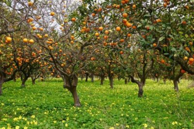 Side:Green Lake Mix Tour – A Day of Nature History & Culture