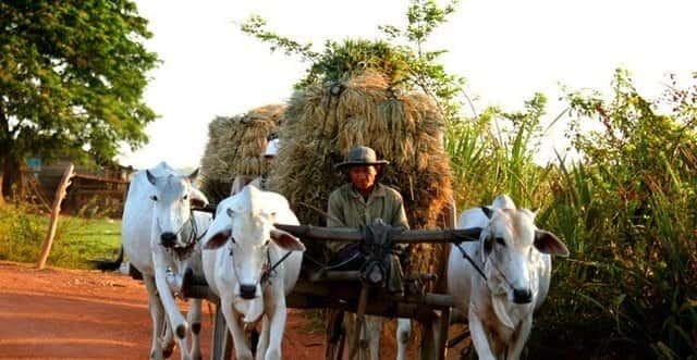 Siem Reap: 3-Hour Ancient Trails Motorbike Tour - Villages, local work, and everyday Cambodia