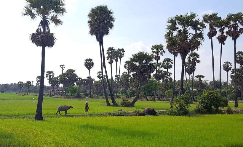 Siem Reap: 3-Hour Ancient Trails Motorbike Tour - Who should book this motorbike tour?