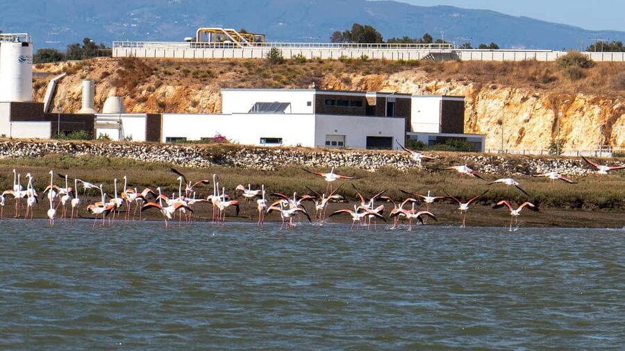 Silves History - Nature Boat Tour - free drink and Port wine - Who should book this boat tour?