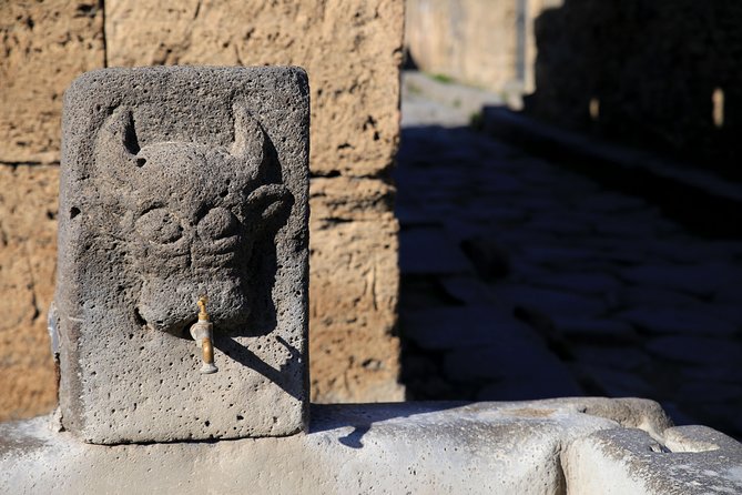 Skip-the-Line Half-Day Private Tour Ancient Pompeii Highlights with Native Guide - Why a private two-hour tour works at Pompeii
