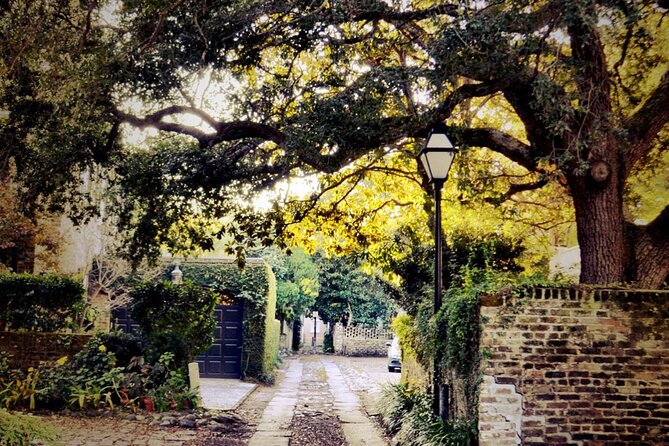 Small Group Historic Charleston walking Tour - Meeting Street and the city’s grand houses