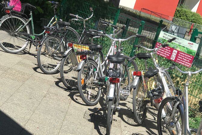 Small-Group Historical Bike Tour in Berlin - The Holocaust Memorial and Topography of Terror