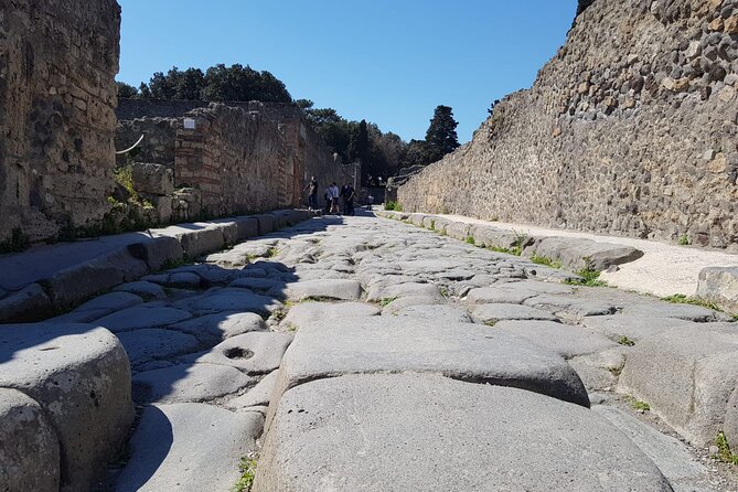 Small-Group Rome to Pompeii & Amalfi: Day of History & Sea - Guides, drivers, and the human side of the trip
