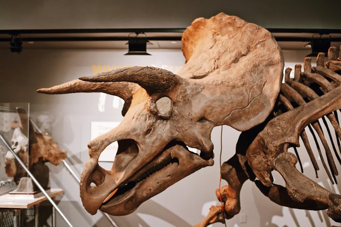Smithsonian Museum of Natural History - Exclusive Guided Tour - Mammals, elephants, and a quick trip around Earth