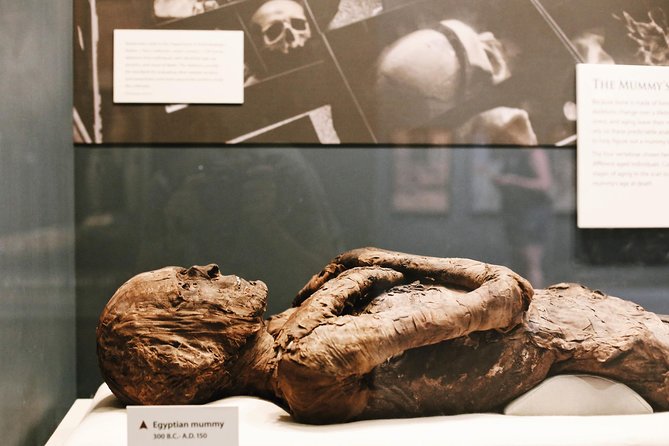 Smithsonian Museum of Natural History - Exclusive Guided Tour - Dinosaurs, birds, and the age of extinction