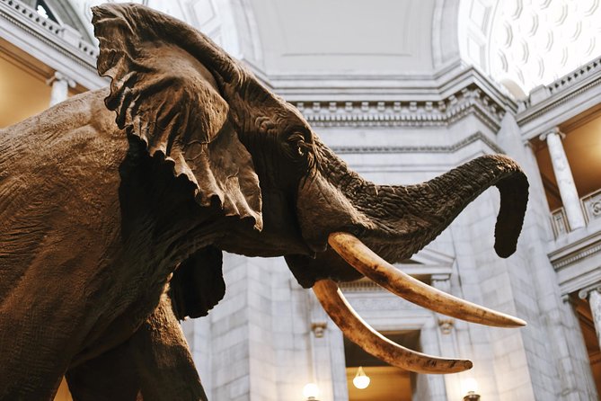 Smithsonian Museum of Natural History - Exclusive Guided Tour - Ocean Hall, coral, and the 45-ton Phoenix