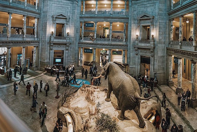 Smithsonian Museum of Natural History - Exclusive Guided Tour - The Hope Diamond and the museum’s glittering opening