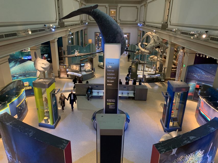 Smithsonian National Museum of Natural History Guided Tour - Dinosaur bones and the first sweep through the galleries
