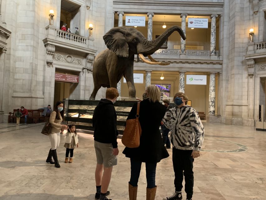 Smithsonian National Museum of Natural History Guided Tour - Human artifacts and early tools