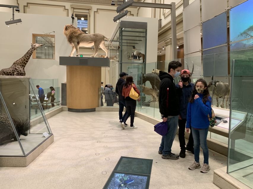 Smithsonian National Museum of Natural History Guided Tour - Gemstones, mummies, plants, and animals