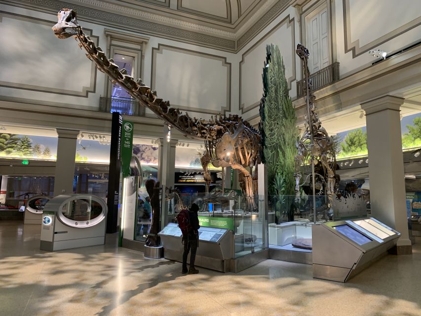 Smithsonian National Museum of Natural History Guided Tour - Is $75 a fair price?