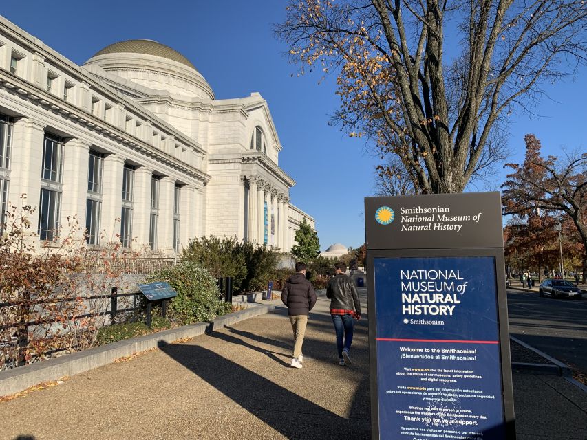 Smithsonian National Museum of Natural History Guided Tour - Meeting outside the National Museum of Natural History
