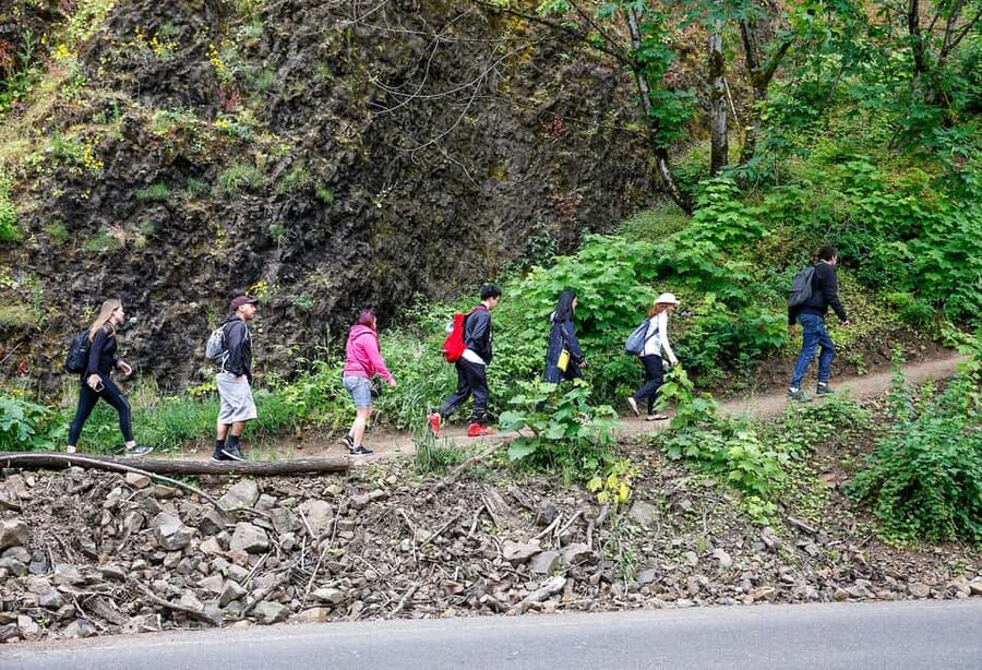 Snoqualmie, Twin Falls & Ancient Forest (Transport Included) - Practical details before you book