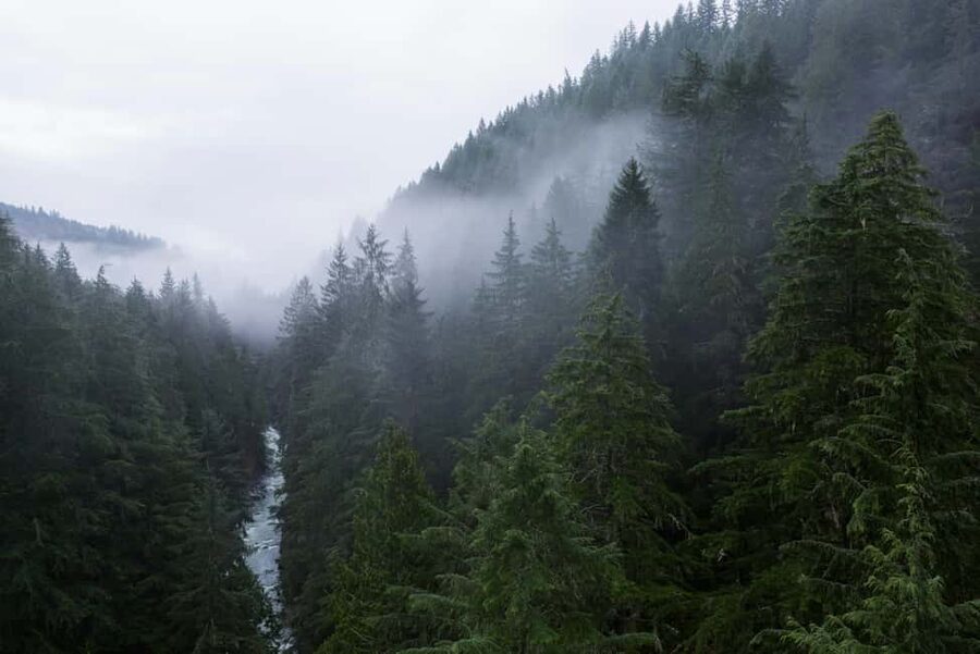 Snoqualmie, Twin Falls & Ancient Forest (Transport Included) - Ollalie State Park and the old-growth trees