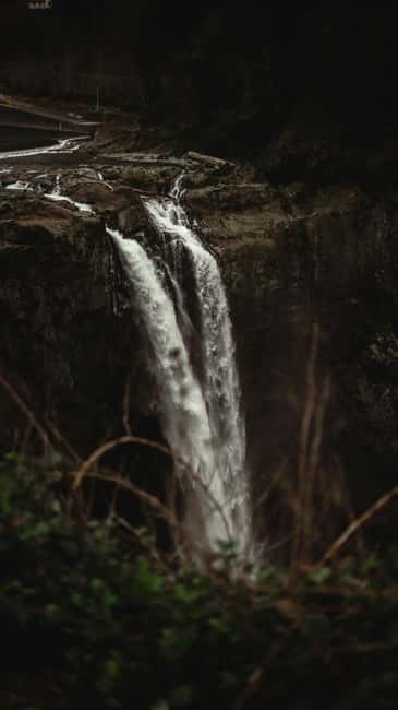 Snoqualmie, Twin Falls & Ancient Forest (Transport Included) - Who should book this experience?