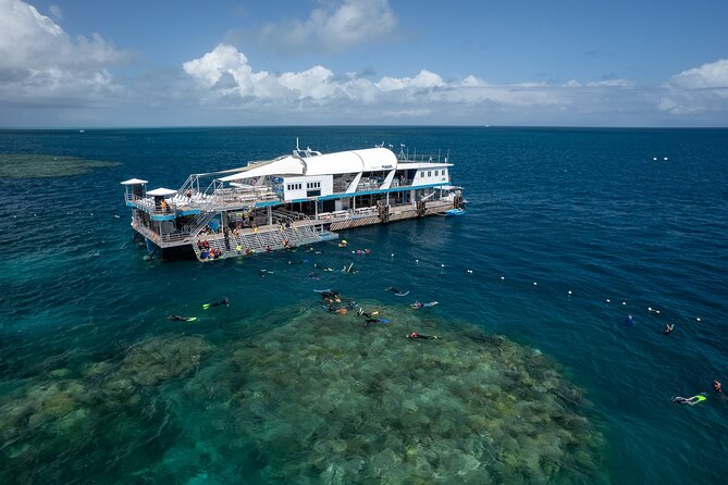 Snorkel & Dive the Reef: Sustainable, Scientific & Cultural Tour - What makes this reef trip worth considering