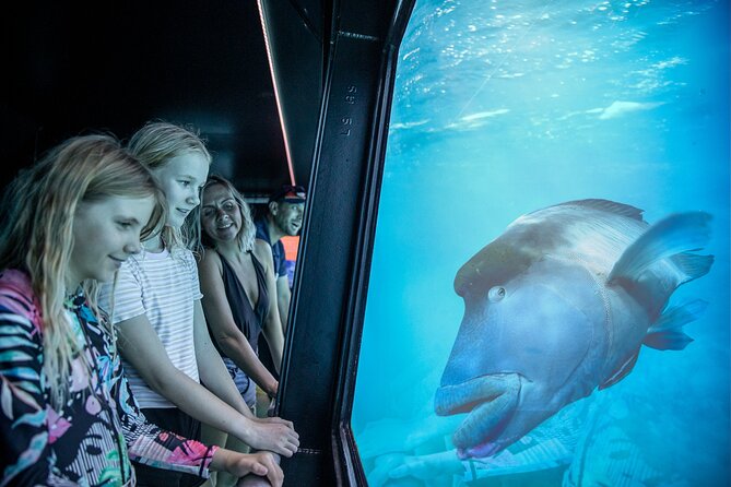 Snorkel & Dive the Reef: Sustainable, Scientific & Cultural Tour - Marine science and cultural talks