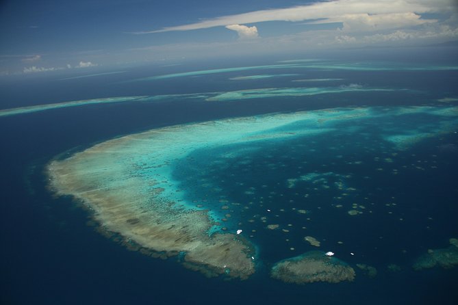 Snorkel & Dive the Reef: Sustainable, Scientific & Cultural Tour - Lunch, tea, and the value of the $232.39 fare