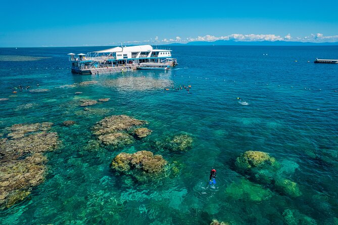 Snorkel & Dive the Reef: Sustainable, Scientific & Cultural Tour - Snorkeling above coral and tropical fish