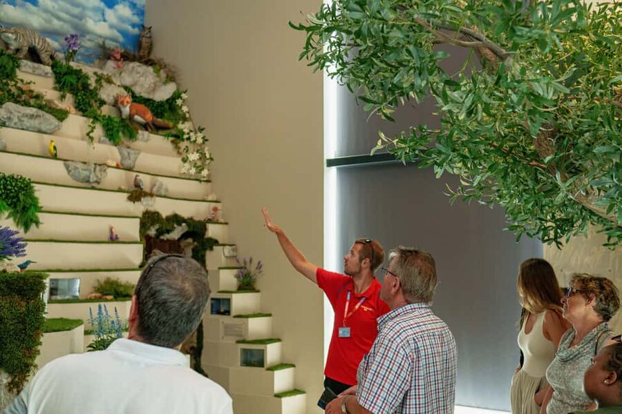 Split: Historical Tour of Salona, Klis Fortress and Trogir - Who should book this tour?